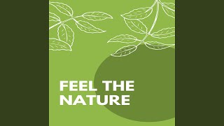 Throw Me to the Heaven