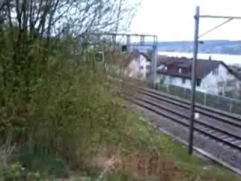 SBB CFF FFS TRENI  SVIZZERA