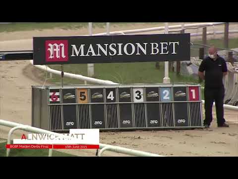 Alnwick Matt - BGBF British Bred Maiden Derby Final