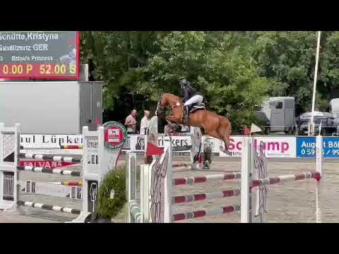 6yr.old mare by Balou Peggio x Carrico,qualified for "Bundeschampionat"