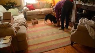 Intro to cardboard boxes