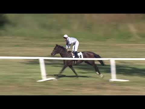 Dostihy Karlovy Vary 2. 7. 2022 - 6. dostih - Cena EBF Stallions