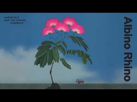 Aaron Rux & the Crying Cowboys - 01. Koshi