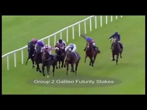 Pathfork - Breeding To Win 2017 (Tellytrack)