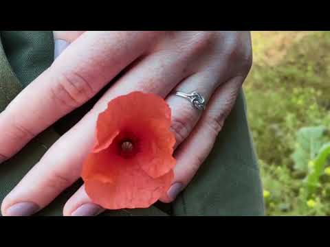 Mnshaa Celtic Knot Ring 925 Sterling Silver Rhodium Plating Handmade Open Adjustable Finger Toe Ring