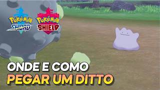 LOCALIZAÇÃO DO DITTO em Pokémon Sword & Shield