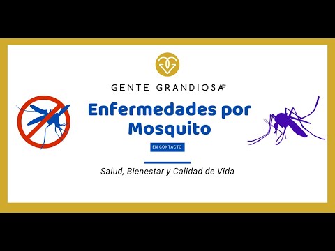 Enfermedades por Mosquito - Gente Grandiosa®