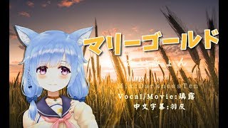 マリーゴールド/あいみょん　covered by 璃露