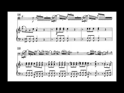 Haydn - Cello Concerto in C, 1st Mov. (piano accompaniment)