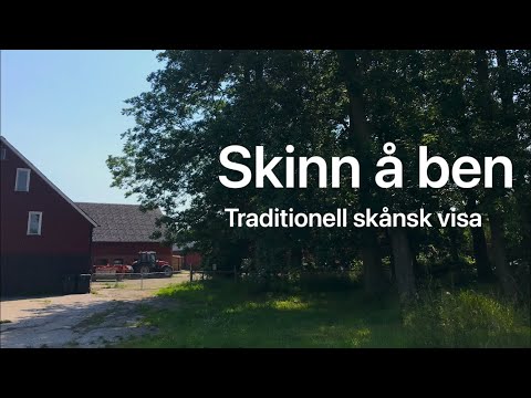 Skinn å ben (med text och ackord) | Traditionell skånsk visa | Skinn å ben å sill och gamla knudor…