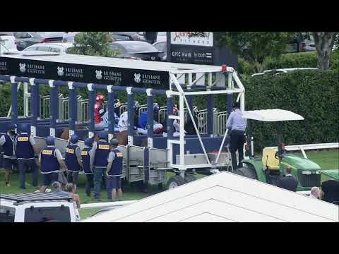 Sir Barnabus - Doomben Race 4