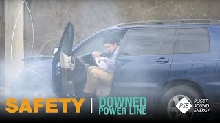 This Might Shock You: Downed Power Line