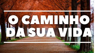 O Caminho Certo Para Sua Vida