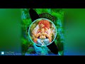 JAI DEVE JAI GANESH GANESH CHATURTHI SPECIAL DJ DEEPAK TKG