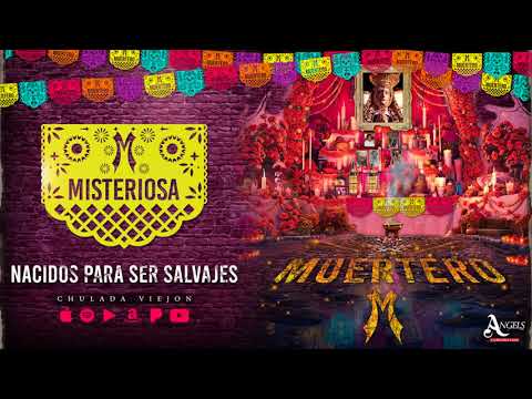 BANDA MISTERIOSA - 5 PELEA DE GALLOS/ NACIDOS PARA SER SALVAJES/ EL PISTOLERO