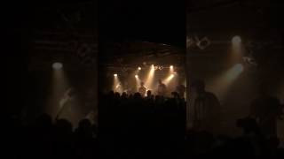 Hellions Quality Of Life Encore