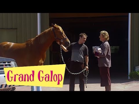 Grand Galop 223 - Les jeux sont faits (Partie 2) | HD | Épisode Complet