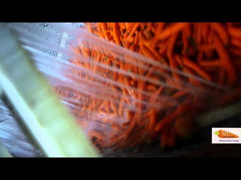 download lagu mp3 mp4 Carrot In Dutch, download lagu Carrot In Dutch gratis, unduh video klip Carrot In Dutch