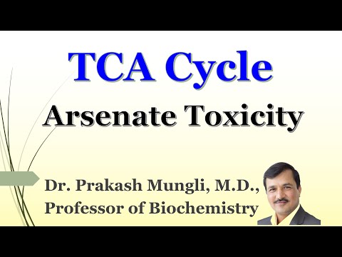 LECTURE II TCA Cycle II Kreb Cycle II Citric Acid Cycle II Dr Prakash Mungli II Arsenate Poisoning