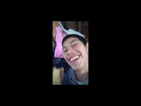 El gran final de la aventura de entrevista de EDG.