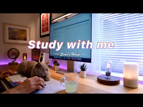 4-Hour Study with Me & the Sleepy Cat | Pomodoro Timer, Lofi Relaxing Music | Day 67