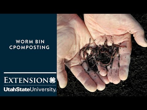 Worm Bin Composting