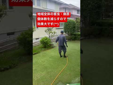 グラブトラップ: 菜園や芝生の害虫を駆除するための簡単なヒント  庭園