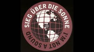 Sieg Über Die Sonne - I'm Not A Sound (Josh Wink's We Miss You Wildpitch Mix) 2002)