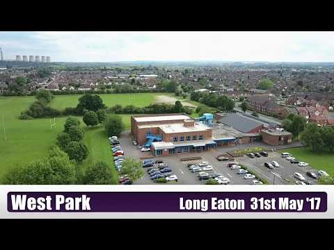 Bees attack Mavic Pro drone in flight.