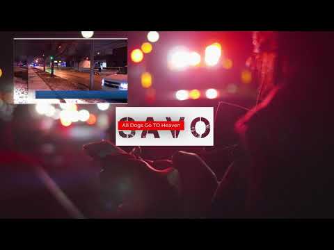 BaeBae Savo - All Dogs Go To Heaven (Official Video)