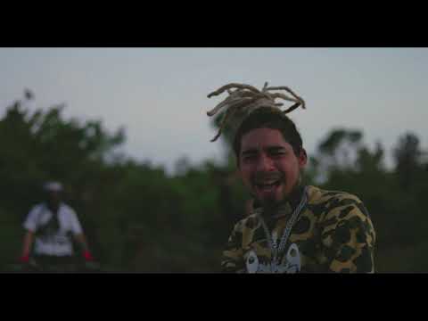 Seven30 - Gorillas & Apes