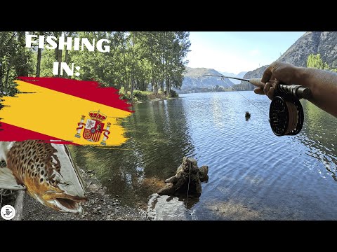 TROUT FISHING IN SPAIN IS AMAZING | 3 DAYS FISHING FOR LAKE TROUT IN THE PYRENEES