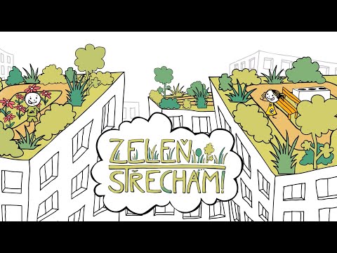 Tvorba explainer animace - Výroba kresleného animovaného videa