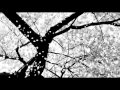Blitzen Trapper - Christmas is Coming Soon - João Gabriel Oliveira Blitzen Trapper - Christmas is Coming Soon