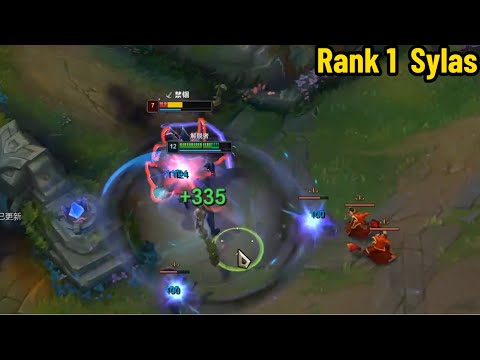 Rank 1 Sylas: This Guy is SO CLEAN with Sylas! *22 Kills in 22 minutes*