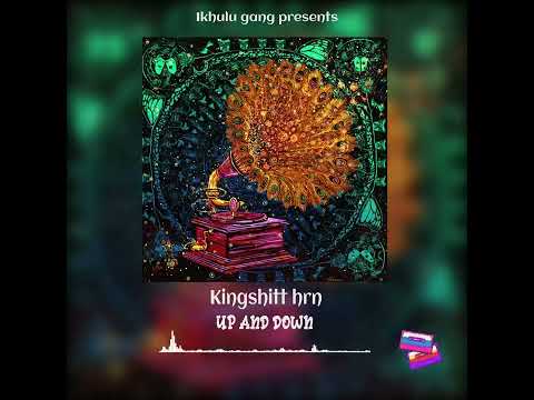 KINGSHITT  HrN  ft   TY NICCAR BEATS   -  UP & DOWN  (OFFICIAL DOWN)