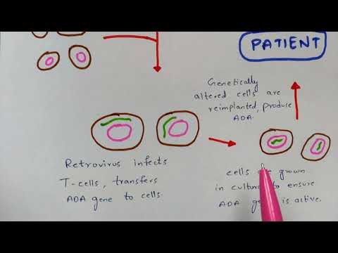 Hypersensitivity Type 1 and Type 2