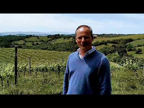 Roccapesta, Toscana: Slow WIne 2022