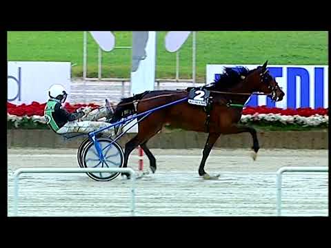 Napoli Trotto 22/04/2022 - 7ª corsa