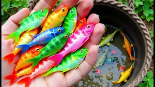 Download lagu Unboxing IKan Hias Warna Warni,Ikan Cupang,Ikan Koi,Ikan Komet,Ikan Koki,Kura Kura Brazil,Gupy mp3 Download lagu Unboxing IKan Hias Warna Warni,Ikan Cupang,Ikan Koi,Ikan Komet,Ikan Koki,Kura Kura Brazil,Gupy mp3
