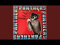 Panthers vs. The Automoton