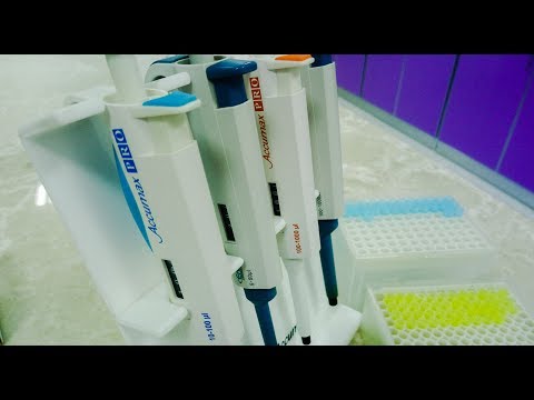 How to use pipette correctly – a short step-by-step introduction into proper pipetting