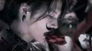 雅-miyavi-  セニョール セニョーラ セニョリータ ( Senor Senora Senorita )