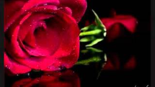 sonho meu  maria bethania e gal costa