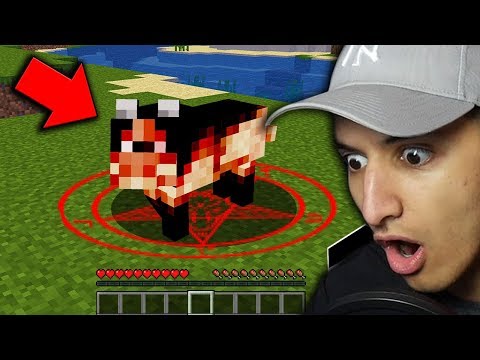 DO NOT FEED THIS MINECRAFT DOG AT NIGHT... (Scary Minecraft Video)