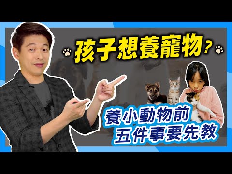 不可養寵物