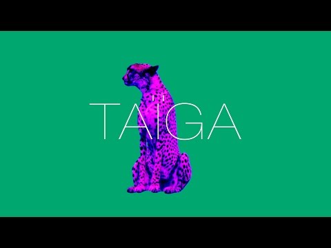 TAIGA - Hologram