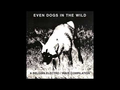 Stin Scatzor - I Will Die