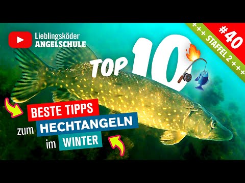 10 Tipps zum HECHTANGELN im Winter 😍 🎣 🔥