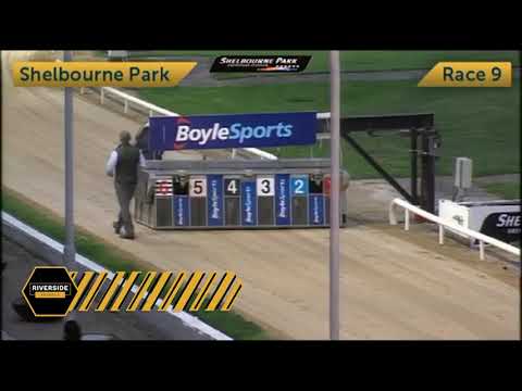 Ballyhimikin Jet - The 2020 Champion Stakes Open 550 Semi Final